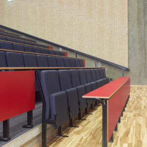 Skeie Symposium - CVU Øresund University College (02)